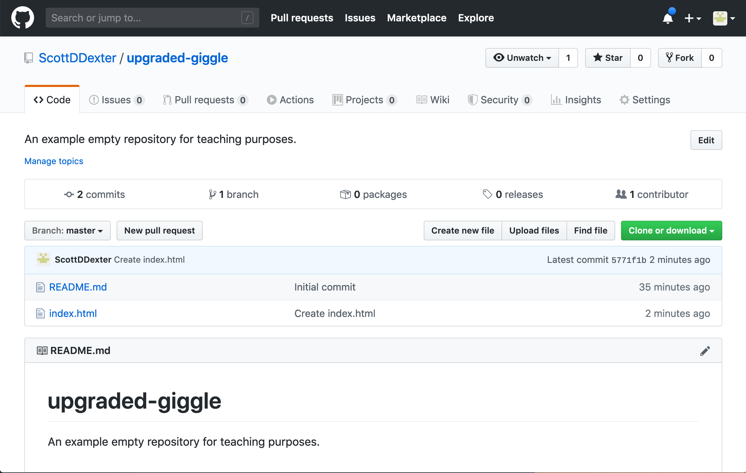 GitHub repo home page